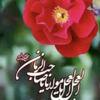تشک و بالشت نو نو