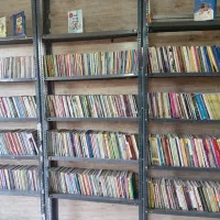 سایه عنکبوت