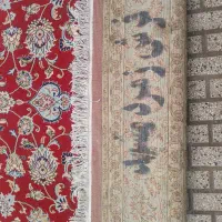 فرش|فرش|تربت‌حیدریه, پائین ولایت|دیوار