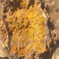 سنگ حاوی طلا با عیار 220ppm