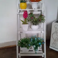 گل و پایه