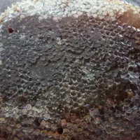 عسل طبیعی