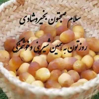 ‌نظافت منزل