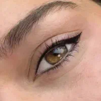 نیازمند مدل برای میکرو ابرو ،خط چشم،شیدینگ لب|خدمات آرایشگری و زیبایی|تبریز, |دیوار