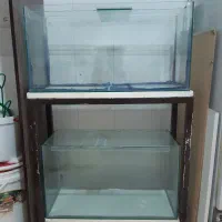 اکواریوم فروشی