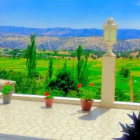 ویلا-سوییت