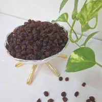 کشمش تازه امسال