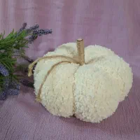 کدوی تزیینی دکوری دکوراسیون داخلی منزل