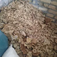 نان خشک تمیز