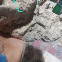 نسخه سنگی|کلکسیون اشیاء عتیقه|شراء, |دیوار