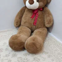 خرس عروسکی نو