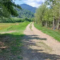 اجاره ویلا جنگلی سنتی در فومن.جاده ماسوله.شولم|اجارهٔ کوتاهمدت ویلا و باغ|فومن, |دیوار