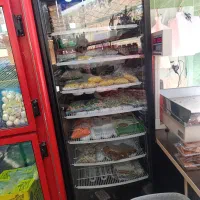 فریزر تک درب ایستاده