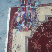 یک عدد جل و ورسینه و کوهان به فروش می رسد