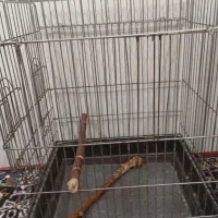 قفس پرنده|لوازم جانبی حیوانات|نی‌ریز, |دیوار