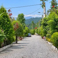 200متر-زمین-تودل-شهرک-جنگلی-باسندتکبرگ-وانشعابات