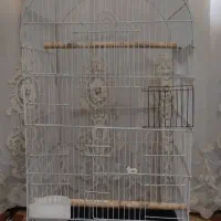 قفس بزرگ