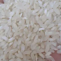 برنج اصل کامفیروزی