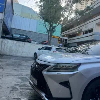 کارواشکار ماهر دهنه