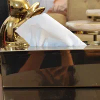 جا دستمال کاغذی