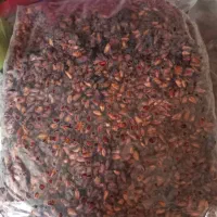 ناردونه ،رب انار|خوردنی و آشامیدنی|شیراز, گلشن|دیوار