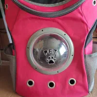 باکس کوله پشتی مخصوص حمل گربه|لوازم جانبی حیوانات|فولادشهر, B6|دیوار