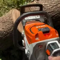 قطع و هرس درختان باغی