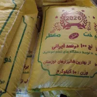 برنج تازه عنبر بو خوزستان