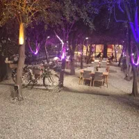 دی‌جی برای کافه و رستوران