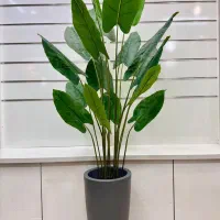 درختچه مصنوعی|گل مصنوعی|فردیس, فردیس|دیوار