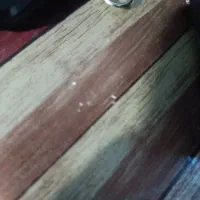 کارگر دکه فلافلی ولیعصر روبرو تامین اجتماعی