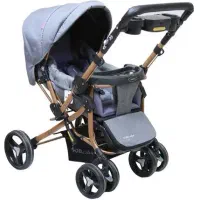 کالسکه دلیجان بنیتا در حد نو