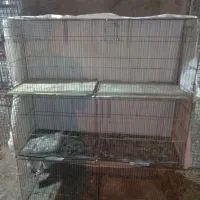 قفس جوجه پرون|لوازم جانبی حیوانات|بندرعباس, |دیوار