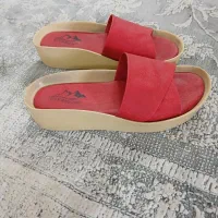 دمپایی رو فرشی در حدنو