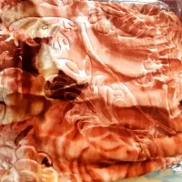 پتو نو یک نفره ودونفره