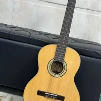 گیتار بست فان پرو