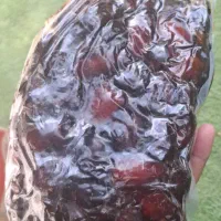 خرمای کبکاب دشتستان.جم|خوردنی و آشامیدنی|جم, |دیوار