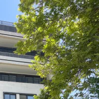 اجاره آپارتمان اصلاح نژاد  (پکیج ۷ واحدی )