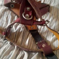 سینه بند و قلاده سگ|لوازم جانبی حیوانات|اراک, |دیوار