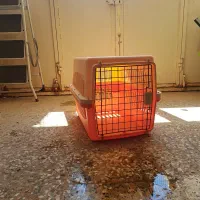 فروش قفس سگ خانگی|لوازم جانبی حیوانات|دوگنبدان, |دیوار