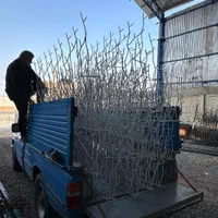 تولید نرده حفاظ شاخ گوزنی امنیت سازان قم|خدمات پیشه و مهارت|قم, نخودی|دیوار