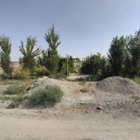 باغچه-400-متری-سند-تک-برگ