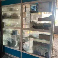 ویترین فروشگاهی|فروشگاه و مغازه|آق قلا, |دیوار