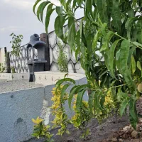 باغ باغچه معاوضه با طلا یا خودرو زمین چهاردیواری