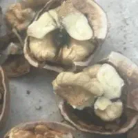 گردوامسالی|عمده‌فروشی|محلات, |دیوار