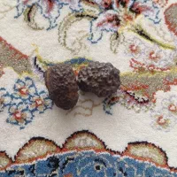 سنگ مشکوک به شهاب سنگ
