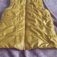 کاپشن ها پسرونه سایر ۵۰ تا ۵۵|لباس|رشت, دیانتی|دیوار