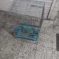 قفس