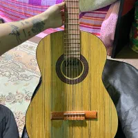 گیتار ویکور پرومکس