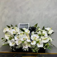 باکس گل و جام گل